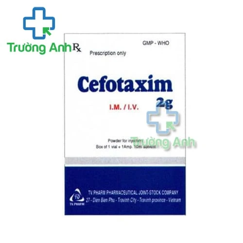 Cefotaxim 2g TV.Pharm - Thuốc điều trị nhiễm khuẩn