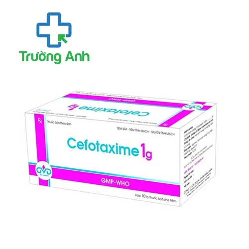 Cefotaxime 1g MD Pharco - Thuốc trị nhiễm khuẩn hiệu quả
