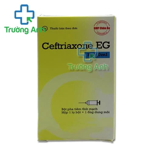 CEFTRIAXONE EG 1g/10ml - Thuốc điều trị nhiễm khuẩn của Pymepharco