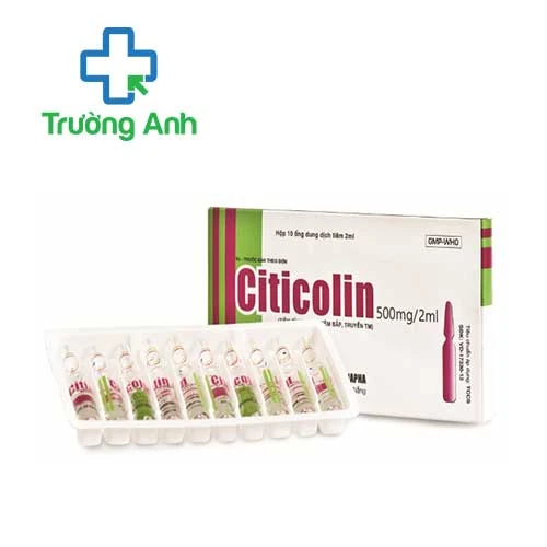 Citicolin 500mg/2ml Danapha - Thuốc điều trị tổn thương não