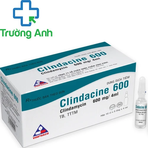 Clindacine 600 - Thuốc điều trị bệnh do nhiễm trùng của VINPHACO