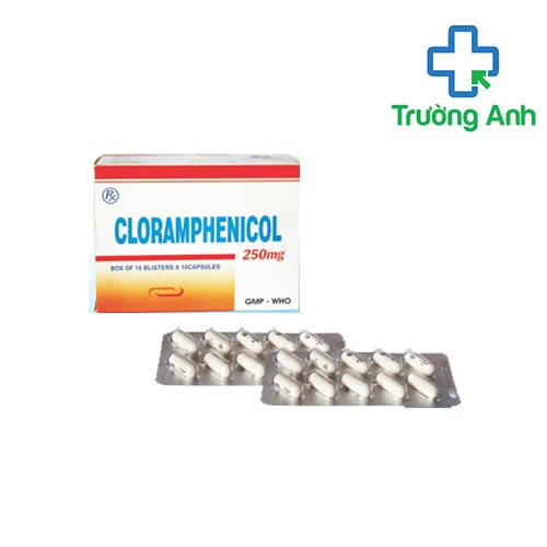 Cloramphenicol 250mg Quapharco- Thuốc trị nhiễm khuẩn nhanh chóng