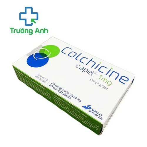 Colchicine Capel 1mg Zentiva - Thuốc trị bệnh Gout của Romaina