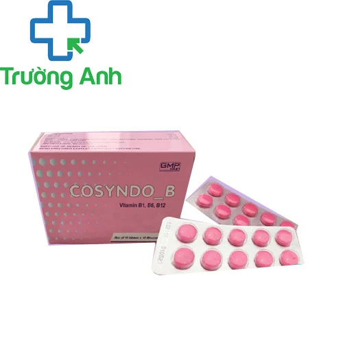 Cosyndo B Armephaco - Thuốc bổ sung vitamin nhóm B của ARMEPHACO