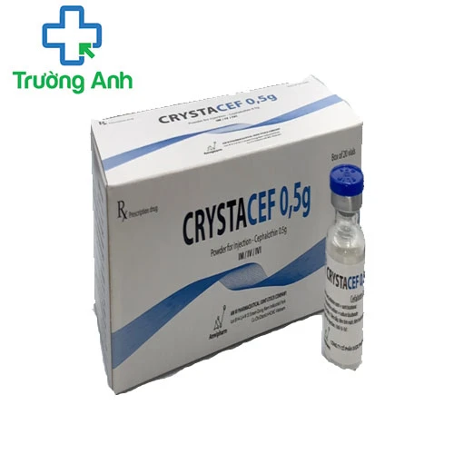 Crystacef 0,5g – Thuốc điều trị nhiễm khuẩn của Amvipharm