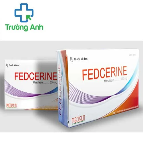Fedcerine - Thuốc điều trị viêm loét đại tràng của Medisun