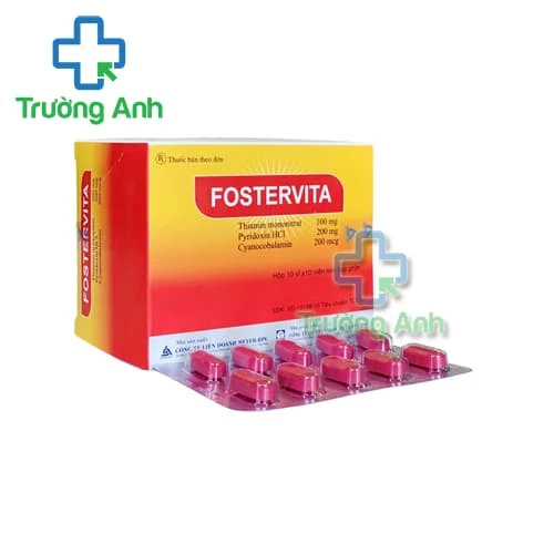 Fostervita Meyer - BPC - Thuốc điều trị thiếu vitamin nhóm B