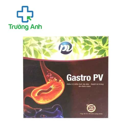 Gastro PV - Giúp hỗ trợ điều trị viêm loét dạ dày
