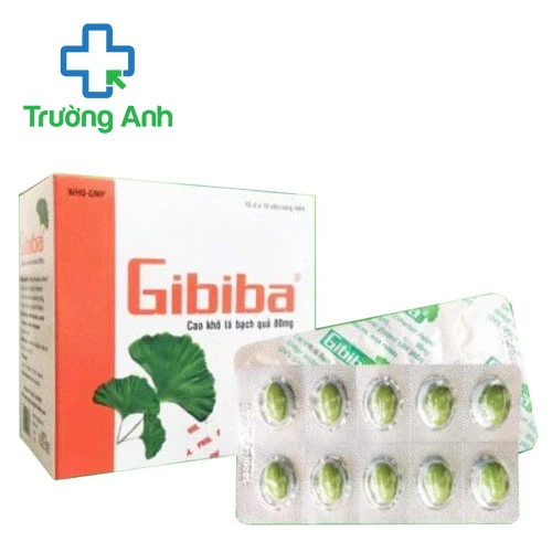 Gibiba - Tăng cường tuần hoàn máu não hiệu quả