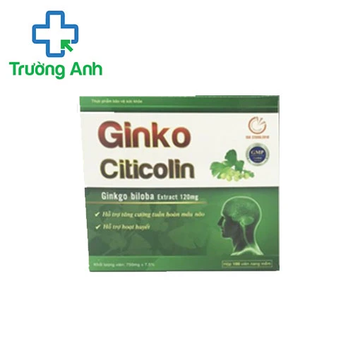 Ginko Citicolin -Hoạt huyết, tăng tuần hoàn máu não của Tradiphar