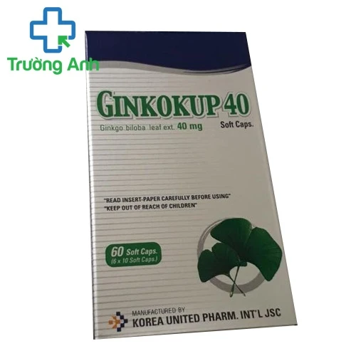 Ginkokup 40mg - Hỗ trợ điều trị rối loạn trí não của Hàn 