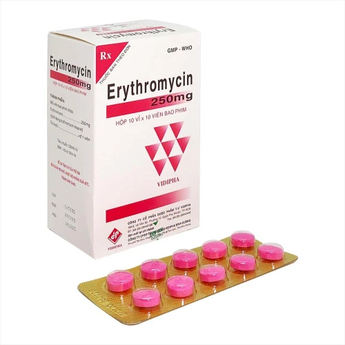 Erythromycin 250mg Vidipha - Thuốc điều trị nhiễm khuẩn đường hô hấp