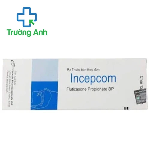 Incepcom 13g Incepta - Thuốc kháng sinh điều trị viêm mũi dị ứng