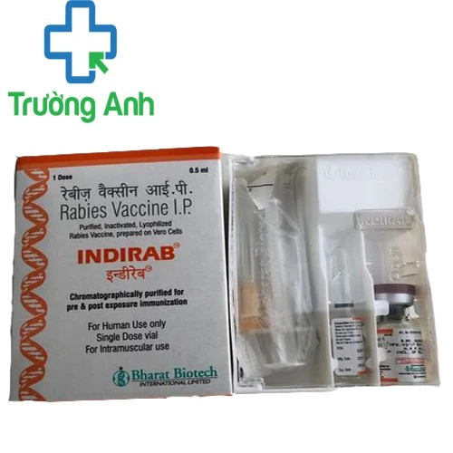 Indirab 0,5ml Bharat - Vaccine phòng bệnh dại của Ấn Độ