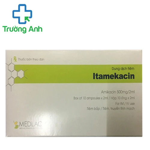 Itamekacin 1000 - Thuốc chống nhiễm khuẩn nặng hiệu quả
