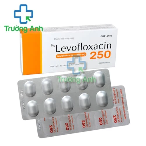 Levofloxacin 250mg DHG - Thuốc điều trị nhiễm khuẩn hiệu quả