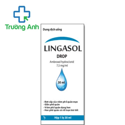 Lingasol Drop 30ml Hà Nam - Thuốc điều trị bệnh đường hô hấp