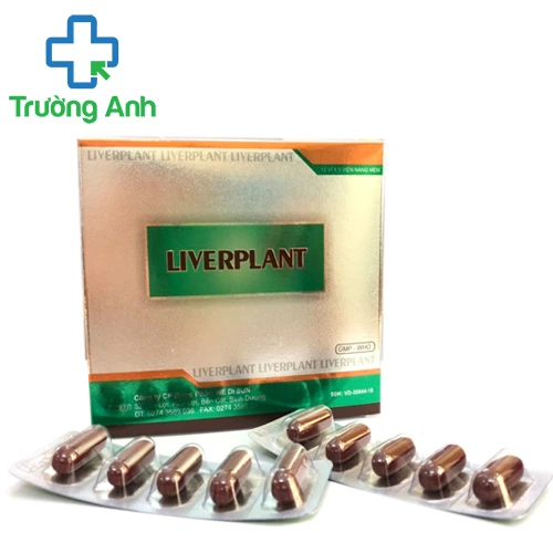 Liverplant Medisun - Hỗ trợ điều trị các bệnh về gan, tăng cường chức năng gan