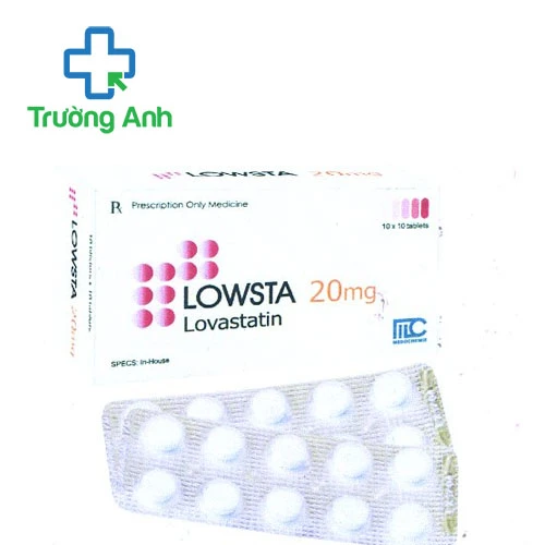 Lowsta 20mg Medochemie - Thuốc phòng ngừa bệnh tim mạch hiệu quả