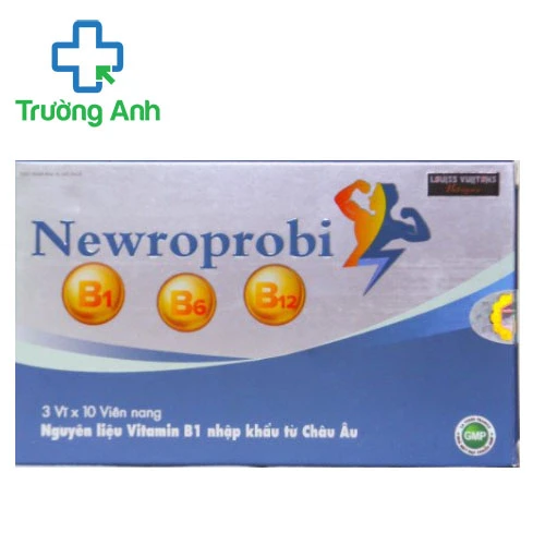 Newroprobi La Terre France - Bổ sung vitamin nhóm B cho cơ thể