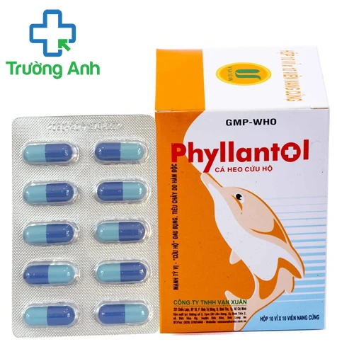 Phyllantol - Hỗ trợ điều trị viêm gan hiệu quả
