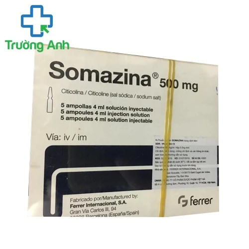 Somazina 500mg/4ml - Thuốc trị chấn thương sọ não hiệu quả