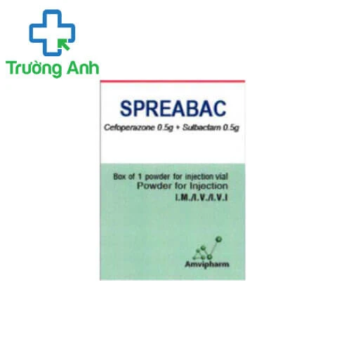 Spreabac - Thuốc điều trị nhiễm khuẩn hiệu quả của Amvipharm