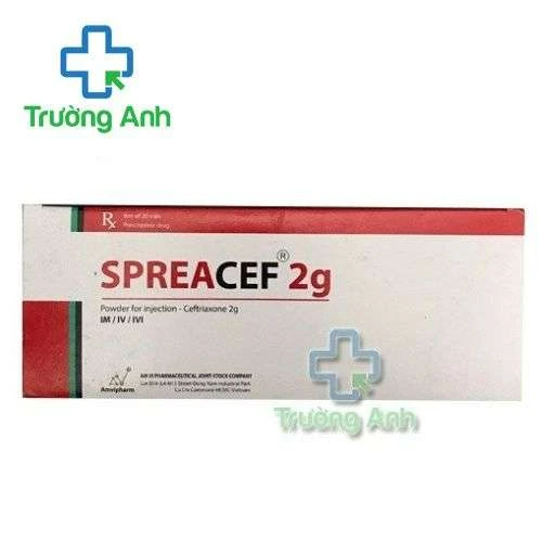 Spreacef 2g Amvipharm - Điều trị nhiễm khuẩn nặng
