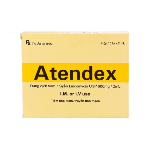 Atendex 600mg/2ml - Thuốc trị nhiễm khuẩn nặng của Ấn Độ