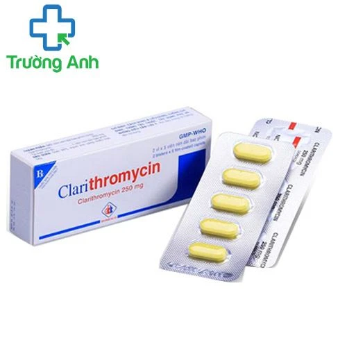 Clarithromycin 250mg Domesco - Thuốc trị nhiễm khuẩn hô hấp