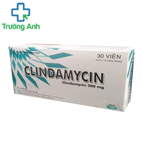 Clindamycin 300mg Davipharm - Thuốc trị nhiễm khuẩn hiệu quả