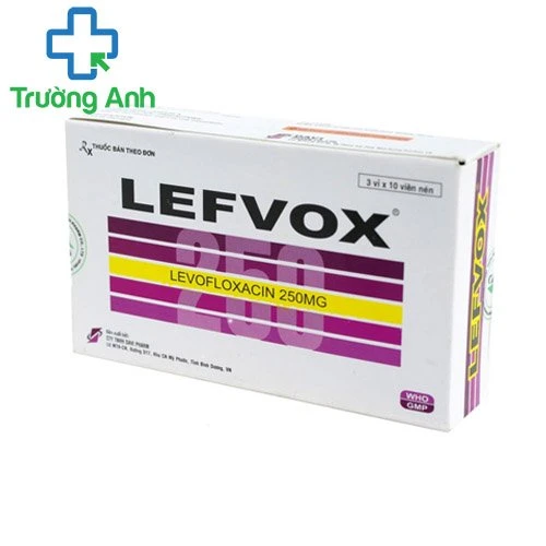 Lefvox-250 - Thuốc điều trị nhiễm khuẩn của Davipharm