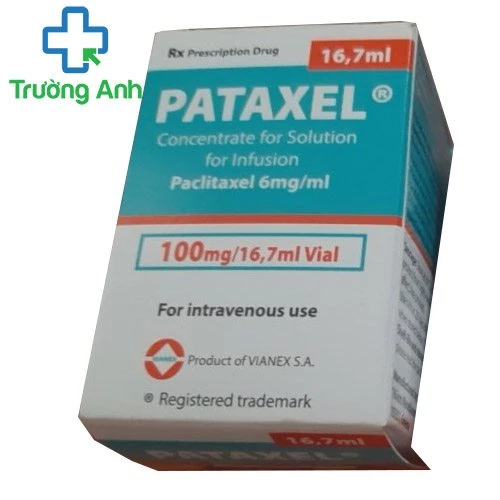 Pataxel 100mg/16,7ml - Thuốc điều trị ung thư hiệu quả