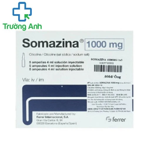 Somazina 1000mg/4ml (ống) - Điều trị tổn thương não hiệu quả