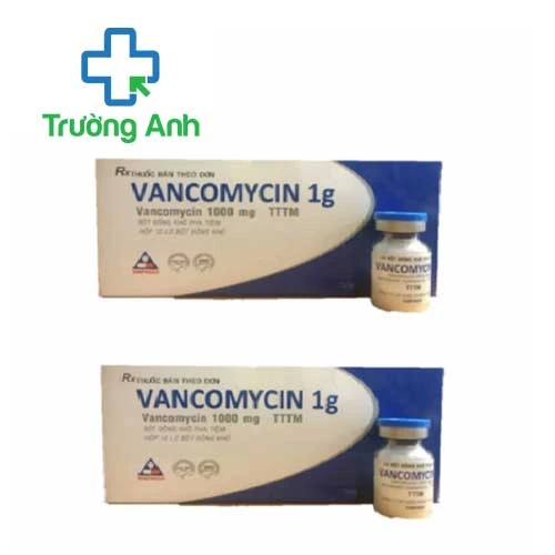 Vancomycin 1000 A.T - Thuốc điều trị nhiễm khuẩn nặng hiệu quả