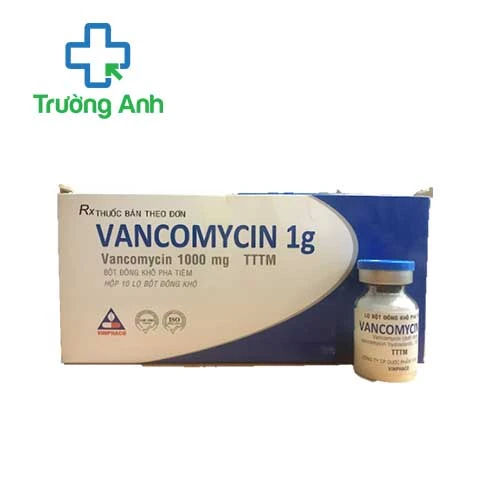 Vancomycin 1g Vinphaco - Thuốc điều trị nhiễm khuẩn nặng hiệu quả