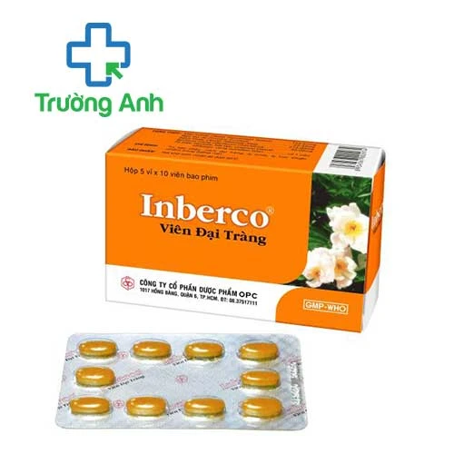 Viên đại tràng Inberco OPC - Hỗ trợ điều trị viêm đại tràng
