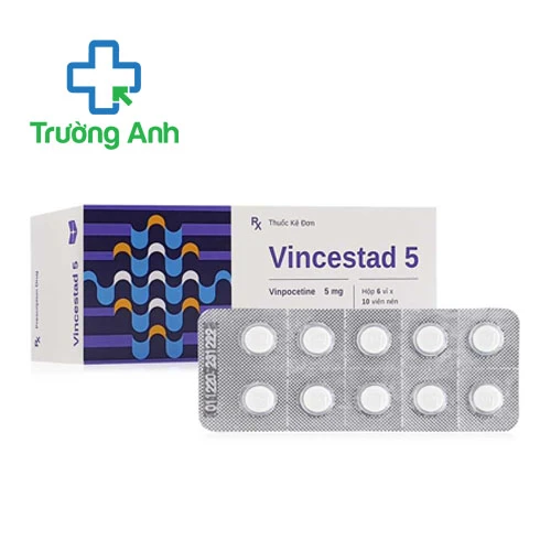 Vincestad 5 - Thuốc điều trị rối loạn tuần hoàn máu não