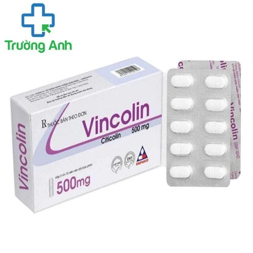 Vincolin 500mg (viên) - Thuốc điều trị tổn thương não hiệu quả