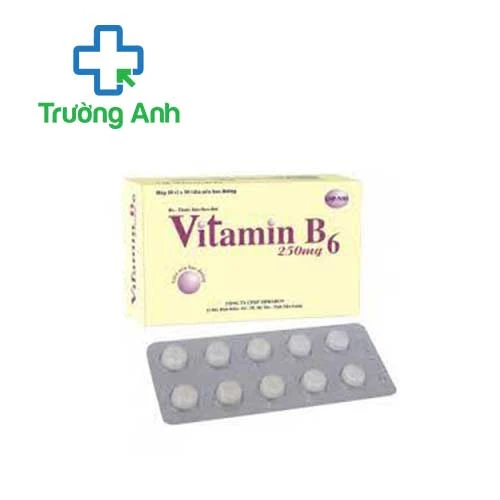 Vitamin B6 250mg Tipharco - Thuốc trị thiếu Vitamin B6 hiệu quả