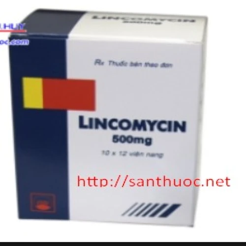 Lincomycin 500 mg Pymepharco - Thuốc kháng sinh điều trị nhiễm khuẩn hiệu quả