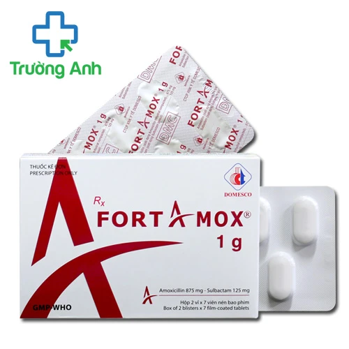 Fortamox 1g - Thuốc điều trị bệnh nhiễm khuẩn của Domesco