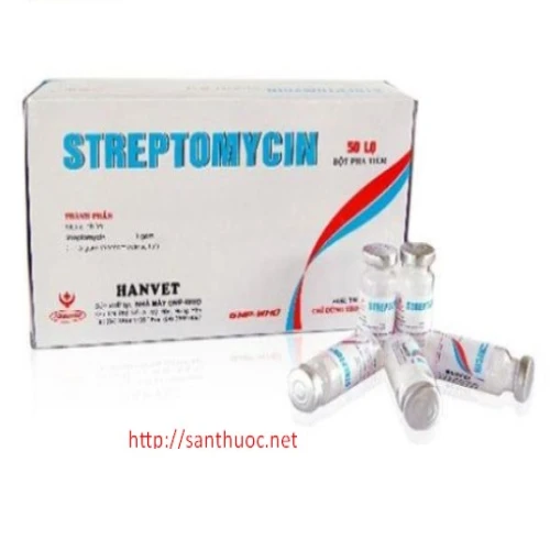 Streptomycin 1g Russia - Thuốc điều trị nhiễm khuẩn hiệu quả