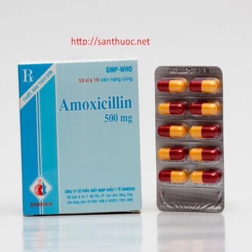 Amoxicyllin 500mg DMC - Thuốc điều trị nhiễm khuẩn hiệu quả