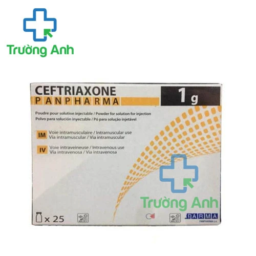 Ceftriaxone 1g - Thuốc điều trị bệnh nhiễm khuẩn nặng của Panpharma