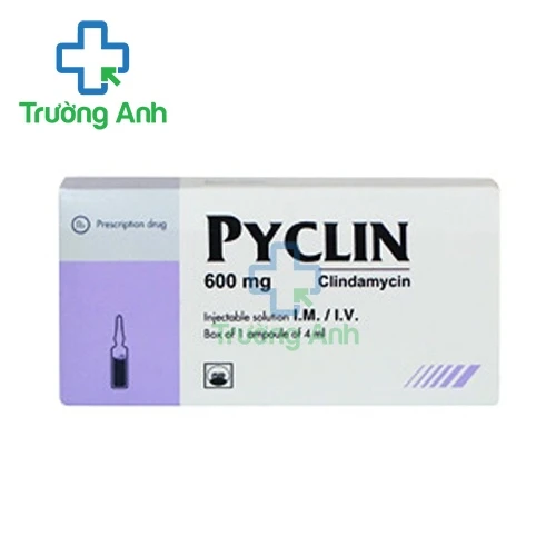 Pyclin 600 tiêm - Thuốc điều trị nhiễm khuẩn hiệu quả của Pymepharco