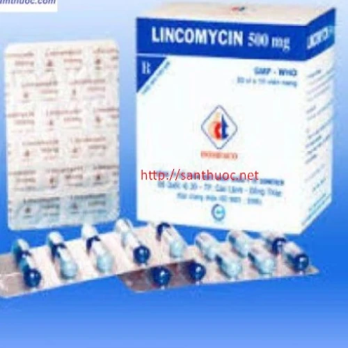 Lincomycin 500mg DMC - Thuốc điều trị nhiễm khuẩn hiệu quả
