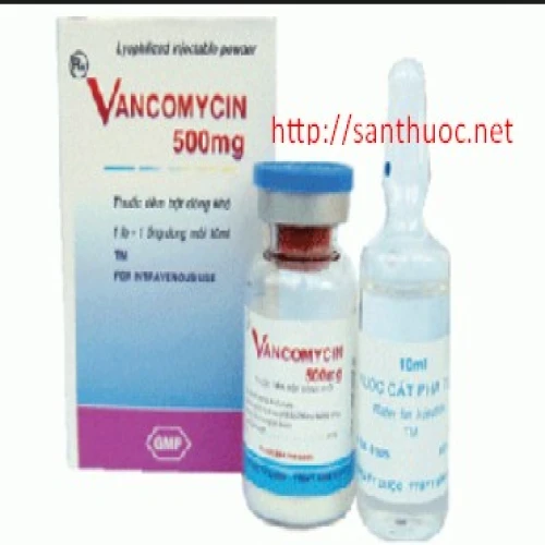 Vancomycin 500mg Bidiphar - Thuốc kháng sinh hiệu quả