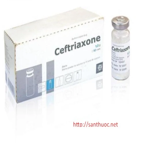 Ceftriaxon 1g RUSSIA - Thuốc điều trị nhiễm trùng hiệu quả của Nga