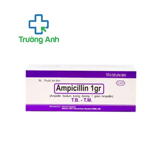AMPICILLIN 1gr Mỹ - Thuốc điều trị bệnh nhiễm khuẩn